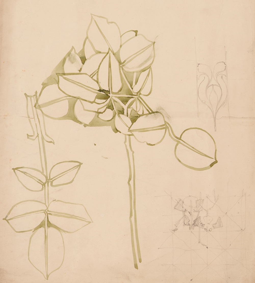 CHARLES RENNIE MACKINTOSH (1868-1928) PLANT STUDIES