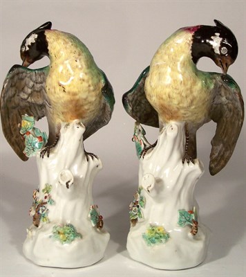Lot 165 - A pair of 19th century continental birds