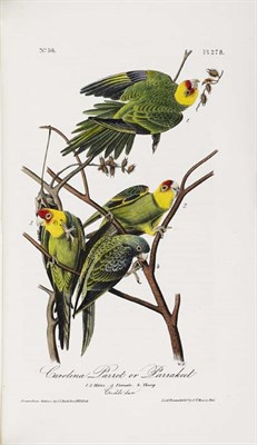 Lot 190 - Audubon, John James