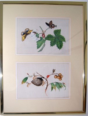 Lot 199 - SET OF EIGHT CHINESE WATERCOLOURS