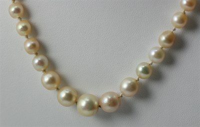 Lot 142 - A cultured pearl necklace with red guilloche enamelled and diamond set clasp