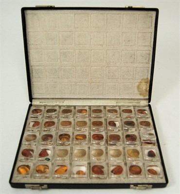 Lot 431 - A box of amber samples