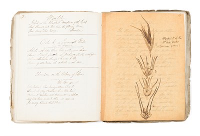 Lot 213 - Americana and Kentucky - the Glasgow Botanical Society - manuscripts