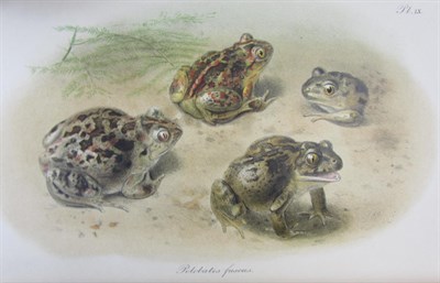 Lot 148 - Ray Society - Boulenger, G.A. - and others on reptiles and amphibians