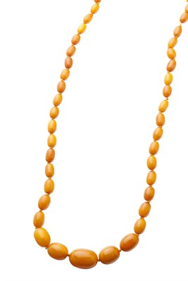 Lot 51 - A single strand of amber beads