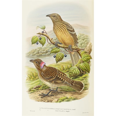 Lot 223 - Birds of Paradise - Sharpe, R. Bowdler