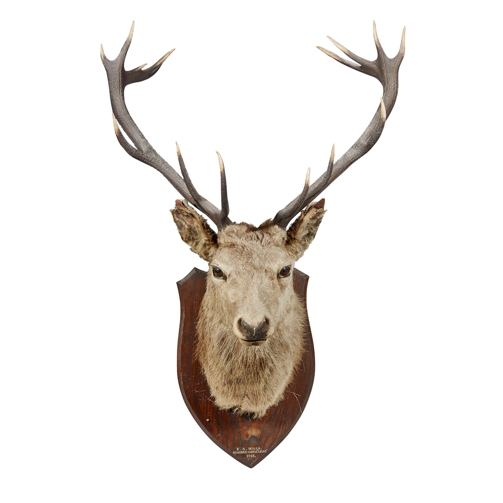 Lot 29 - A LARGE IMPERIAL STAG'S HEAD
