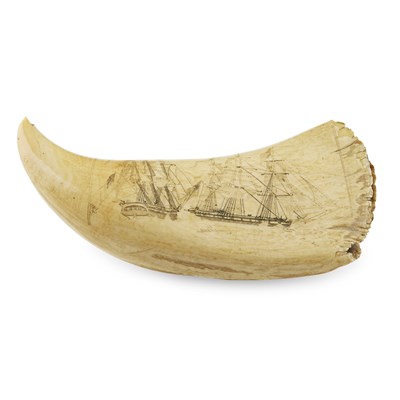 Lot 8 - SCRIMSHAW WHALE'S TOOTH