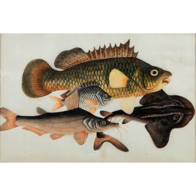 Lot 120 - GROUP OF THREE PITH PAINTINGS OF FISHES
