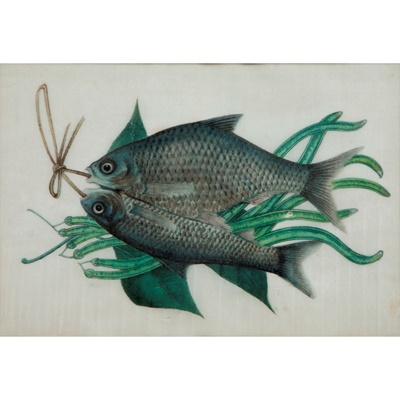 Lot 120 - GROUP OF THREE PITH PAINTINGS OF FISHES