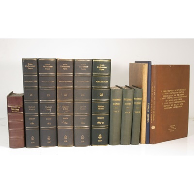 Lot 44 - Acts of Parliament, Parliamentary Papers & Reports