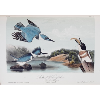 Lot 275 - Audubon, John James