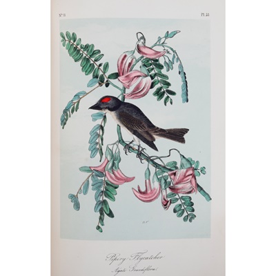 Lot 275 - Audubon, John James