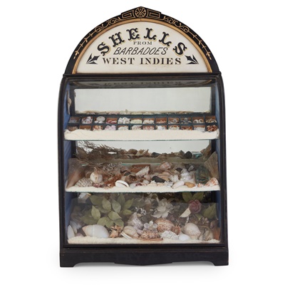 Lot 470 - VICTORIAN WEST INDIES SHELL DISPLAY CASE