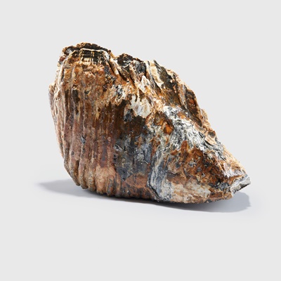 Lot 172 - WOOLLY MAMMOTH TOOTH, MAMMUTHUS PRIMIGENIUS