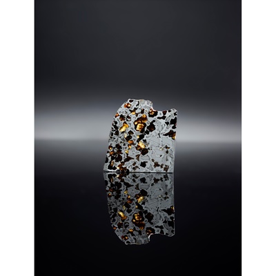 Lot 8 - CROSS SECTION OF A PALLASITE METEORITE