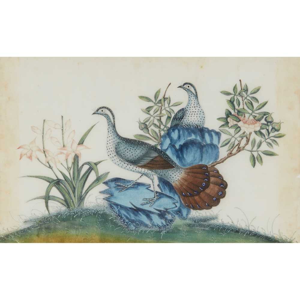 Lot 65 - TWO PITH PAINTINGS OF EXOTIC BIRDS
