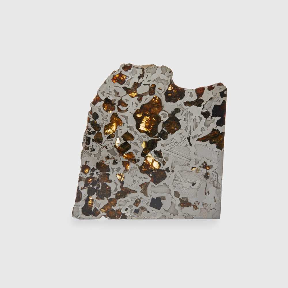 Lot 13 - CROSS SECTION OF A PALLASITE METEORITE