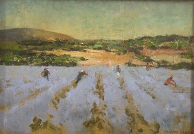 Lot 67 - COSMO CLARK LAVENDER FIELD Signed and dated...